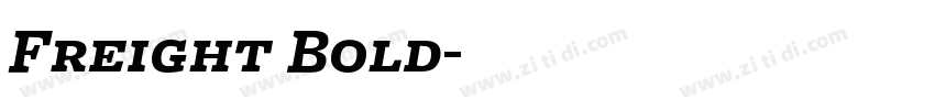 Freight Bold字体转换